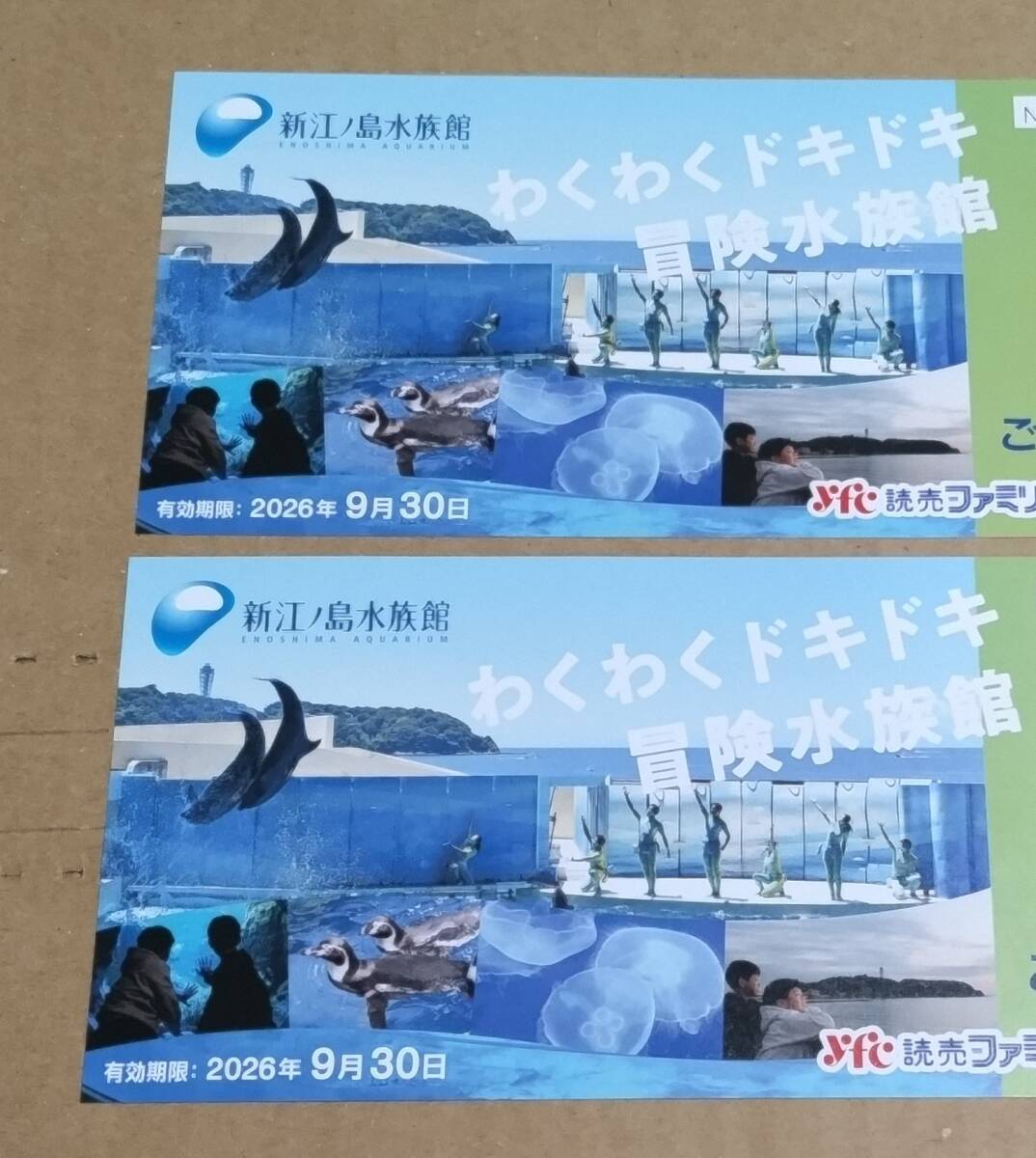 「新江ノ島水族館 」招待券2枚 2026年9月30日迄 通常料金:大人1名2800円拍卖