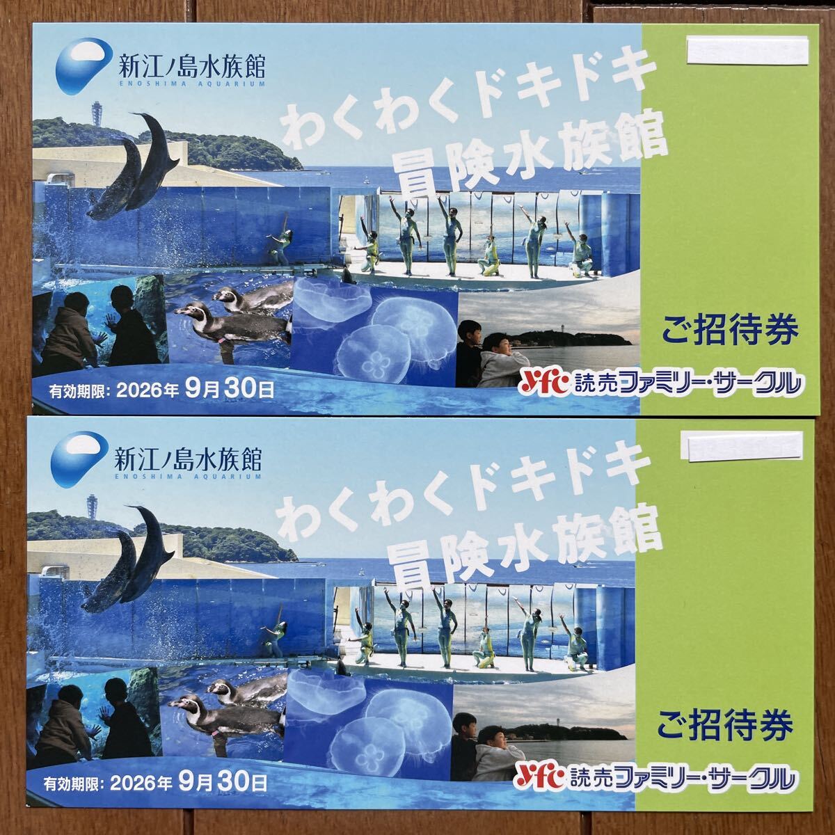 新江ノ島水族館 ご招待券 2枚セット 有効期限2026年9月30日拍卖