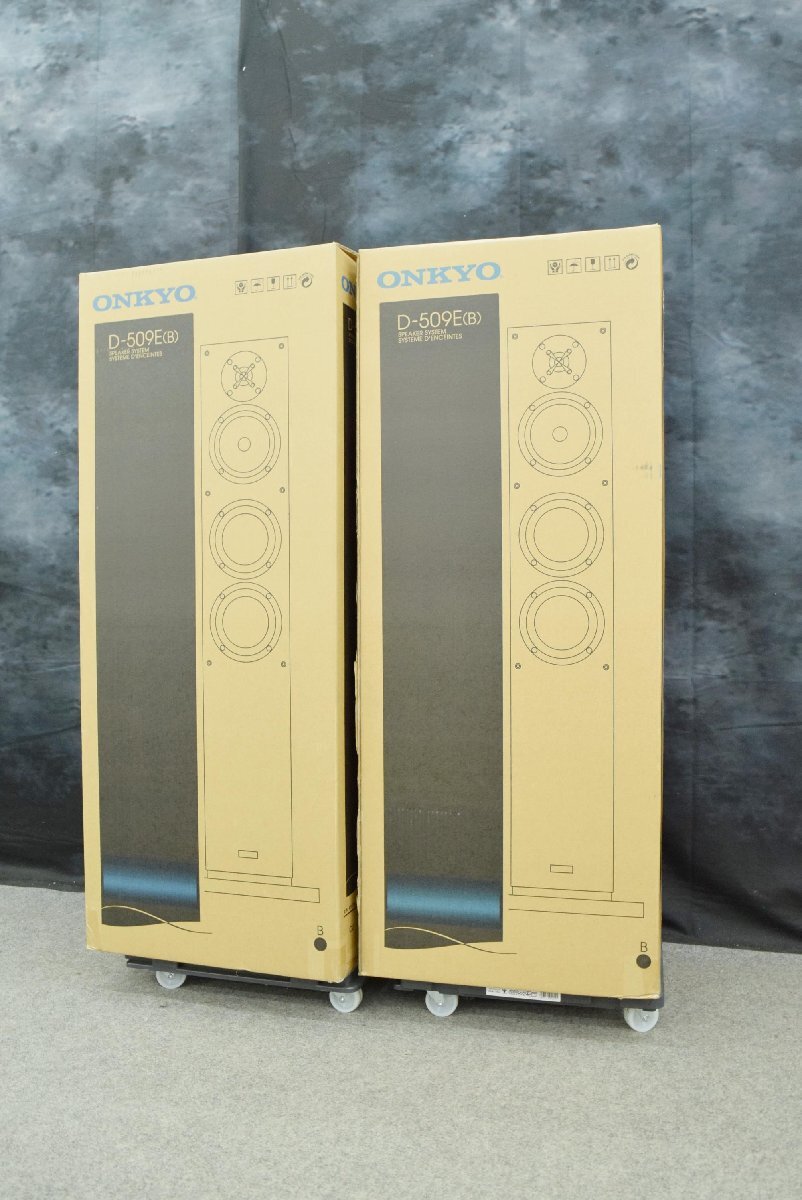【A】ONKYO D-509E スピーカペア オンキョー 3378705拍卖