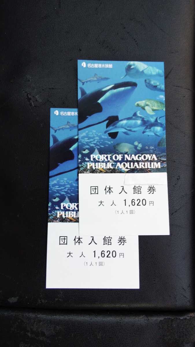 送料無料!名古屋港水族館 大人入館券2枚セット拍卖