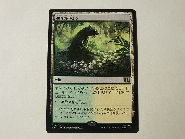 MTG 美品 【剃刀境の茂み】 (レア) マーベル スーパー・ヒーローズ MSC 日 5枚迄拍卖
