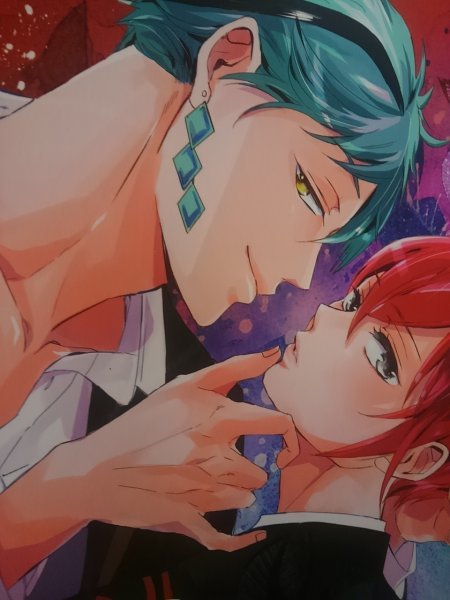 ツイステッドワンダーランド同人誌たったひとつの冴えたやりかた、フロイドX リドル、ナナトリズ拍卖