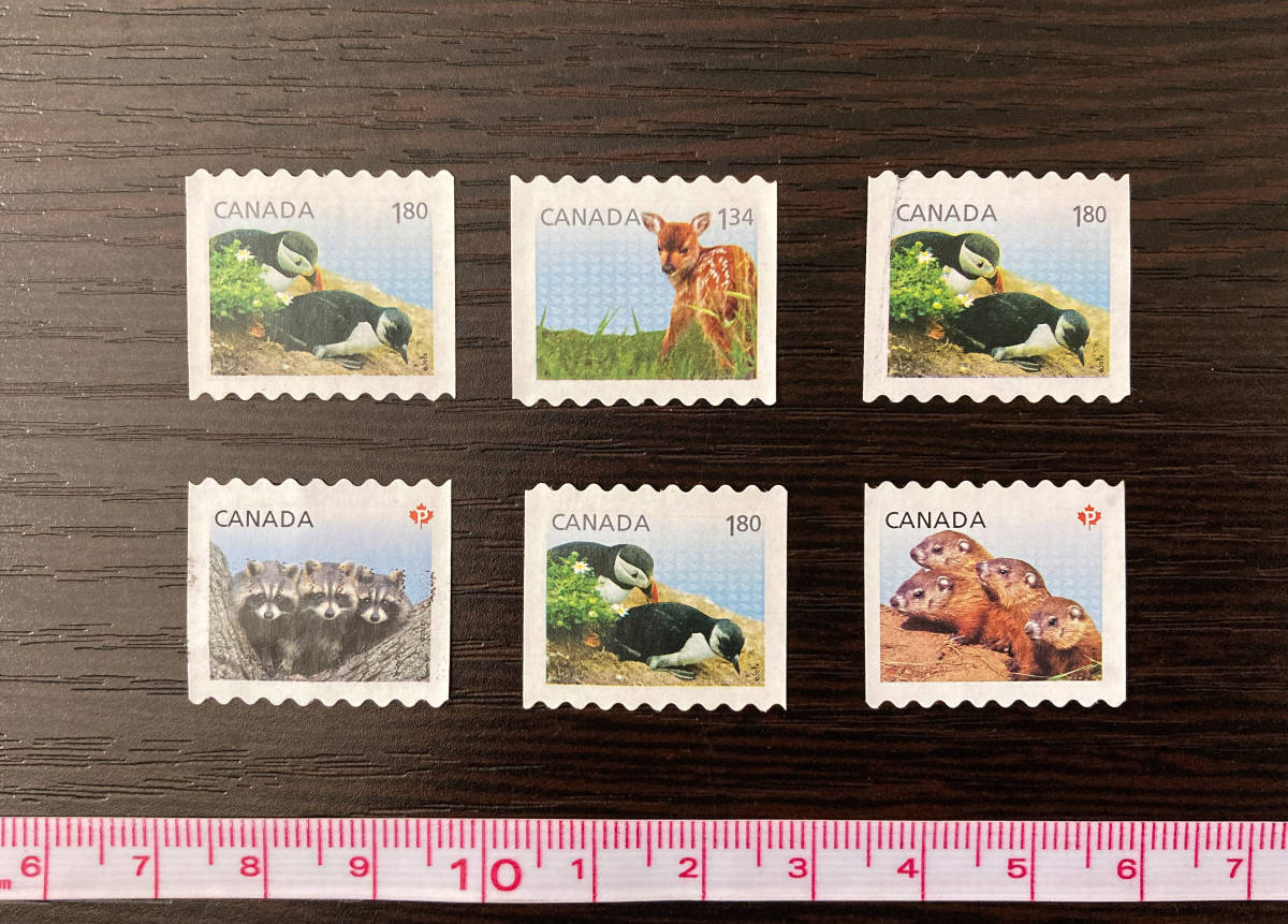定価1000円 まとめ売りセット レア 廃盤 消印無し 海外 切手 北米 カナダ 動物 アライグマ ペンギン 鹿 ビーバー 記念切手拍卖