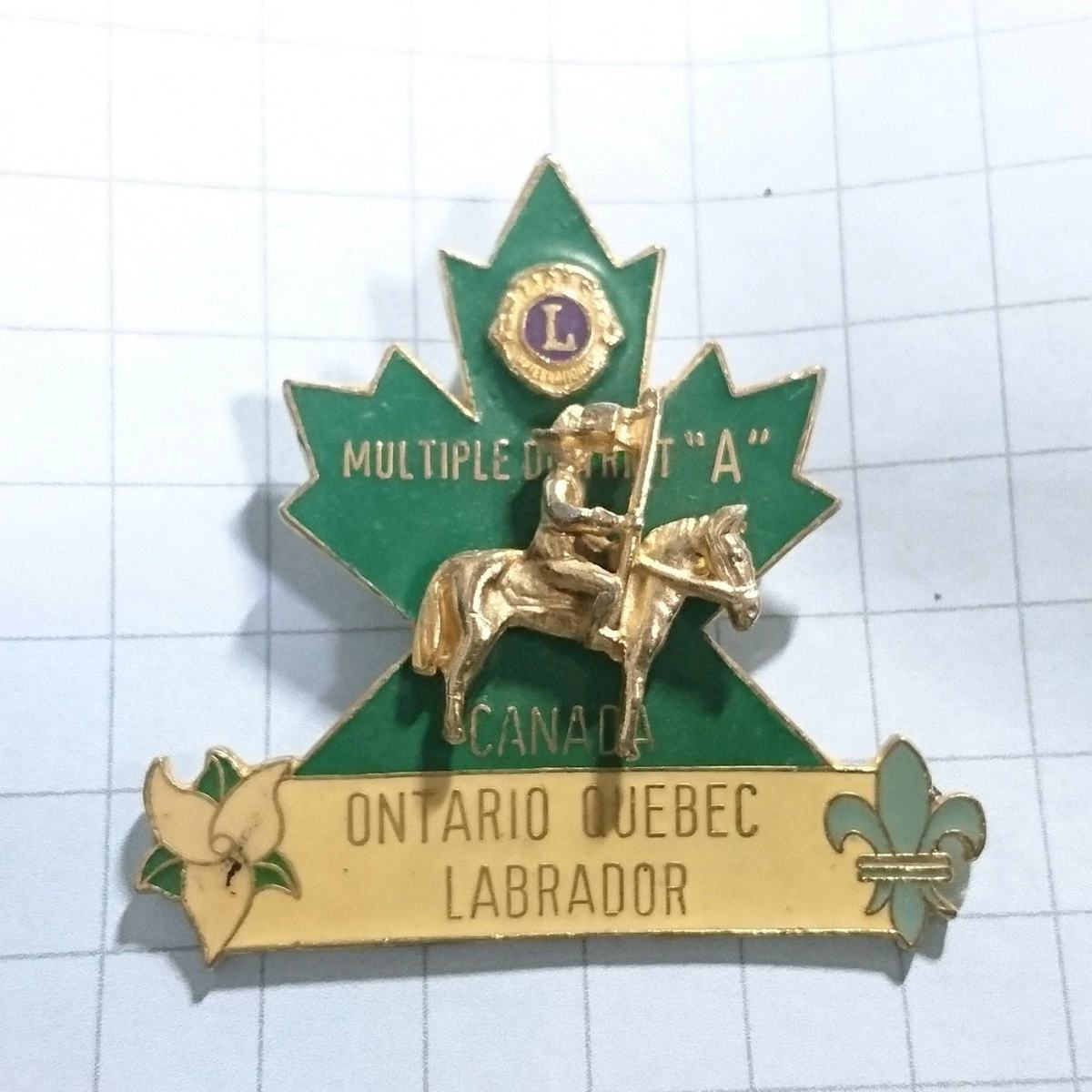 送料無料)カナダ ケベック ライオンズクラブ 馬に乗る人 ピンバッジ A02578拍卖
