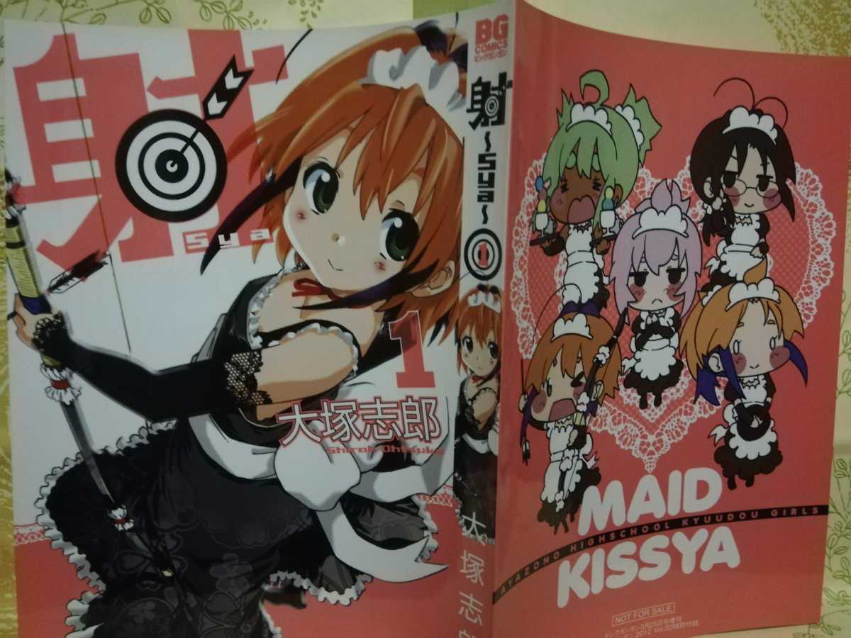 B5-03 ブックカバー 射 ~Sya~ 1 大塚志郎拍卖