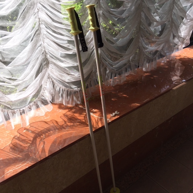 SCOTTスキー用ストック MATRIX 長さ126cm拍卖