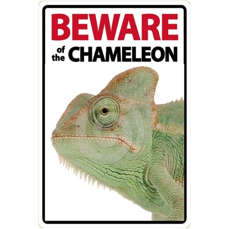 A537 メタル サイン 金属 製 ブリキ 看板 プレート パネル 店 注意 警告 危険 防犯 動物 ペット 爬虫類 カメレオン 【1001拍卖