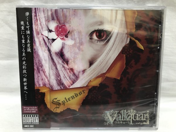 Vallquar(ワルキューレ)「Splendor」1stミニアルバム ケース割れあり拍卖