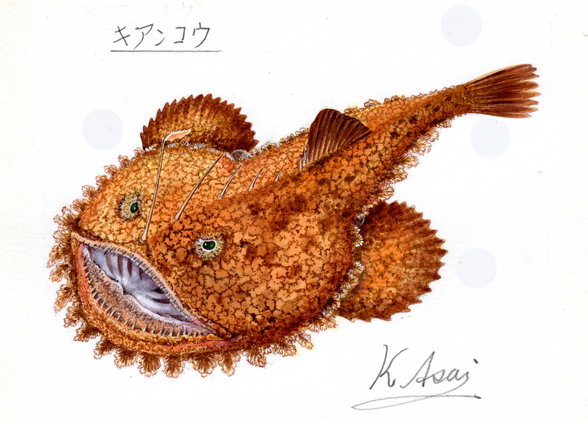 【絵画】「キアンコウ」 細密画 真作拍卖