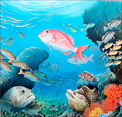 【絵画】「浅い海の生き物」 リアルイラストレーション 真作拍卖