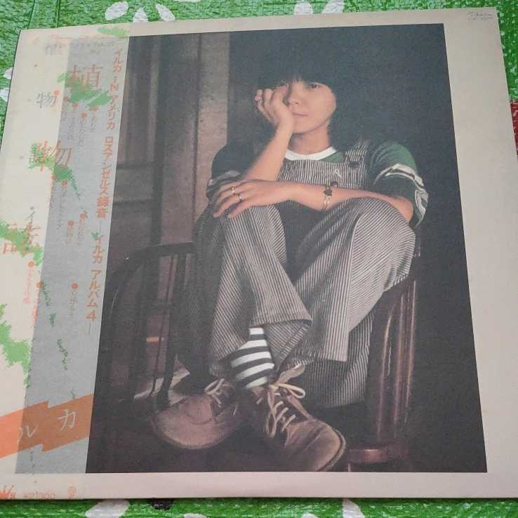 イルカ 植物誌 帯付き LPレコード拍卖