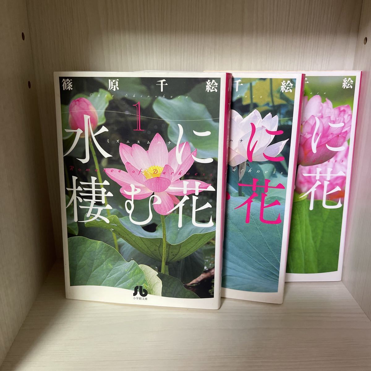 水に棲む話 文庫版 全巻セット拍卖