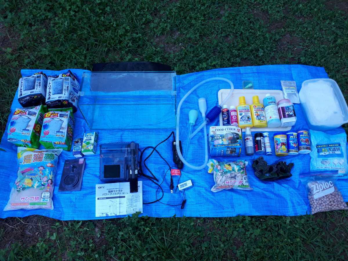 海水 水槽 セット アクアリウム ニモ クマノミ  フィルター ろ過 拍卖