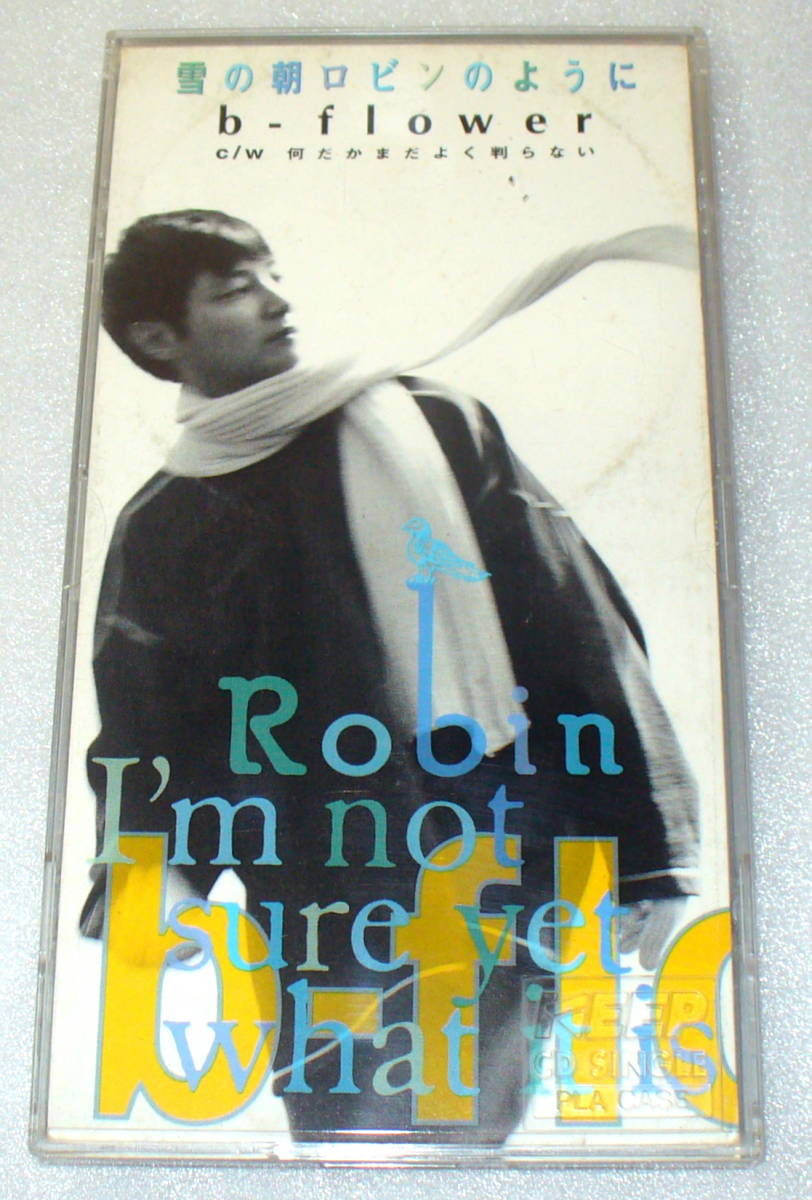S5■b-flower 雪の朝ロビンのように/何だかまだよくわからない /ケースつき拍卖