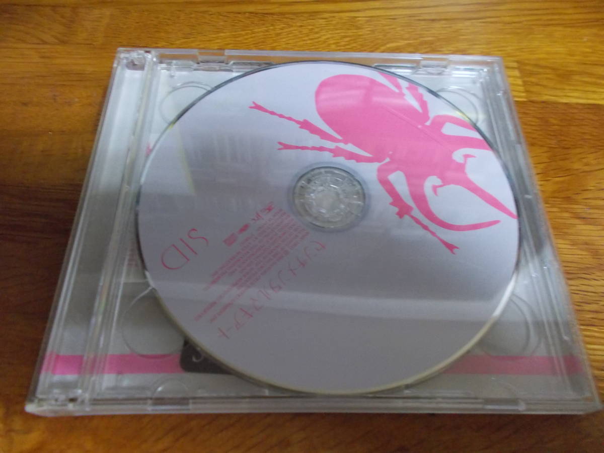 シド センチメンタルマキアート dvd付き 歌詞カード無し拍卖