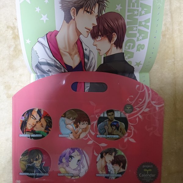 BL2009同人カレンダー ねこ田米蔵/扇ゆずは/小鳩めばる/直野夢羅/冬乃郁也他拍卖