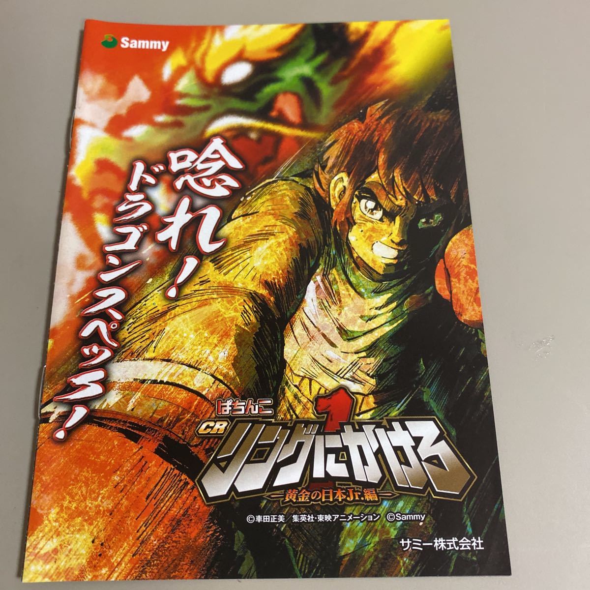 パチンコ小冊子 リングにかけろ拍卖