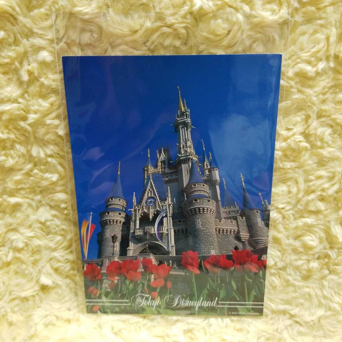 ディズニーランド ポストカード(A)拍卖