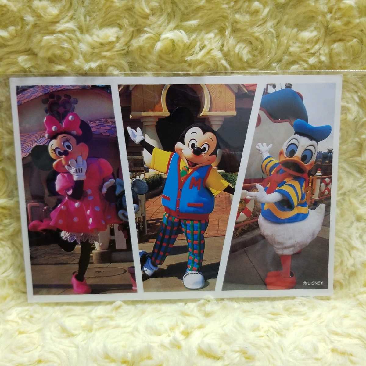 ディズニーランド トゥーンタウン ポストカード(D)拍卖