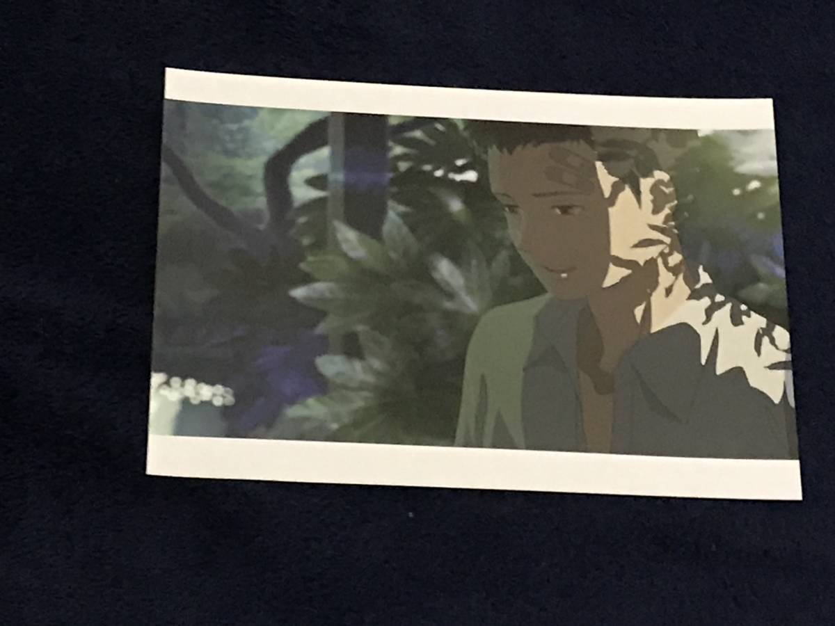 【美品】言の葉の庭 ポストカード 劇場来場者特典 非売品 新海誠拍卖