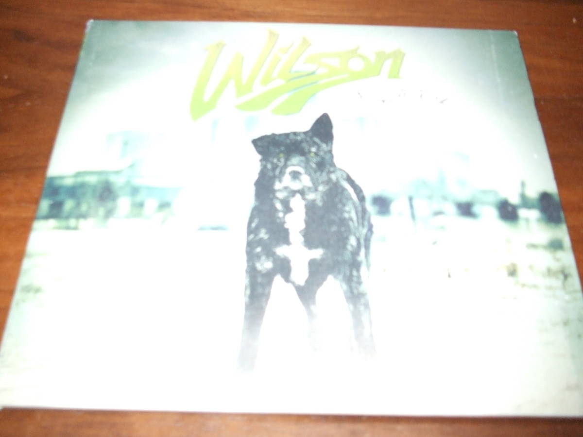 WILSON《 Right to Rise 》 ★USハードロック拍卖
