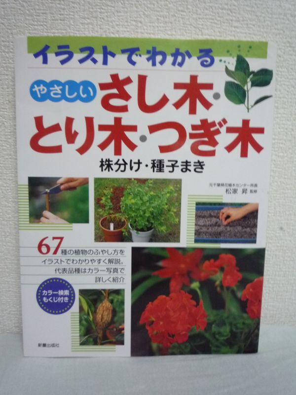 イラストでわかるやさしいさし木・とり木・つぎ木 株分け・種子まき ★ 松家昇 ◆ 植物のふやし方のテクニック 挿し木 接ぎ木 代表品種 ◎拍卖