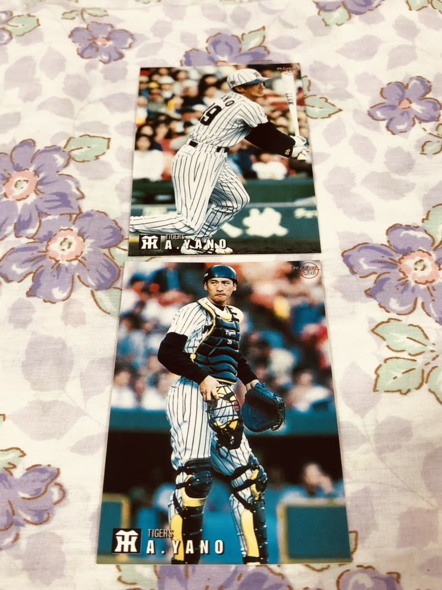 カルビープロ野球チップスカード セット売り 阪神タイガース 矢野燿大 矢野輝弘拍卖