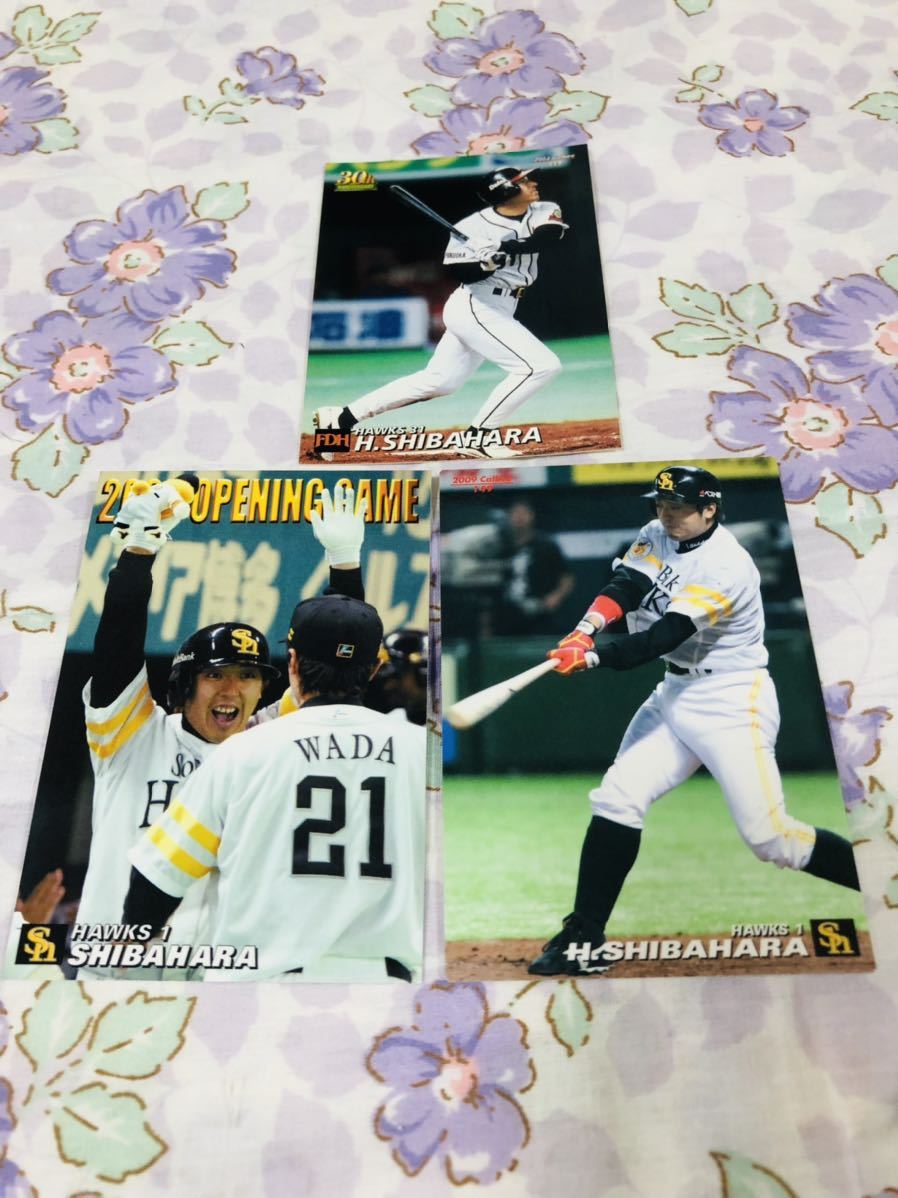 カルビープロ野球チップスカード セット売り福岡ソフトバンクホークス 柴原洋拍卖