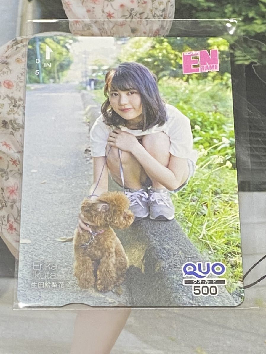生田絵梨花 QUOカード 乃木坂46 月間エンタメ EN 非売品 クオカード クリアファイル付き拍卖