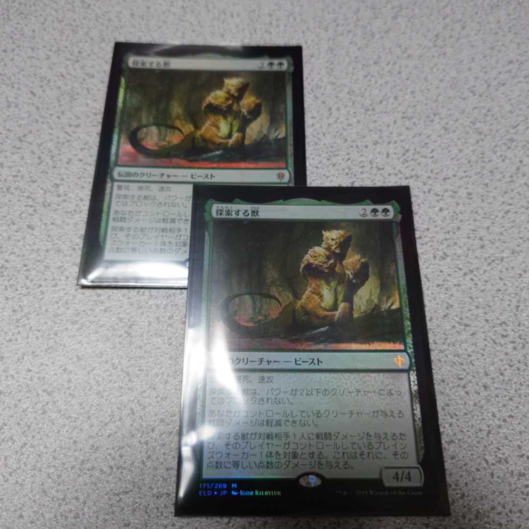 MTG ELD 探索する獣 日本語foil 二枚セット 通常ブースター版 エルドレインの王権 即決拍卖