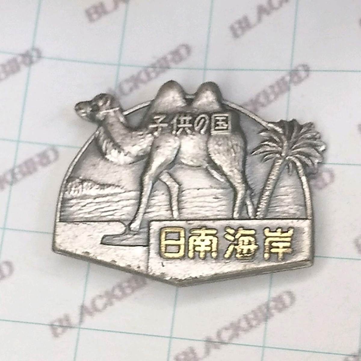 送料無料)日南海岸 こどもの国 昭和レトロ ご当地 観光地 登山 山登り 記念 山バッジ ピンバッジ PINS ピンズ A04378拍卖