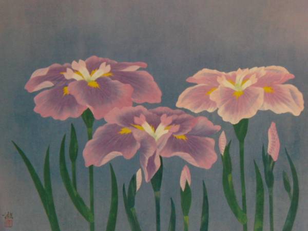 小栗 潮 、菖蒲、大判・豪華画版、版上落款入、新品額付、salt拍卖