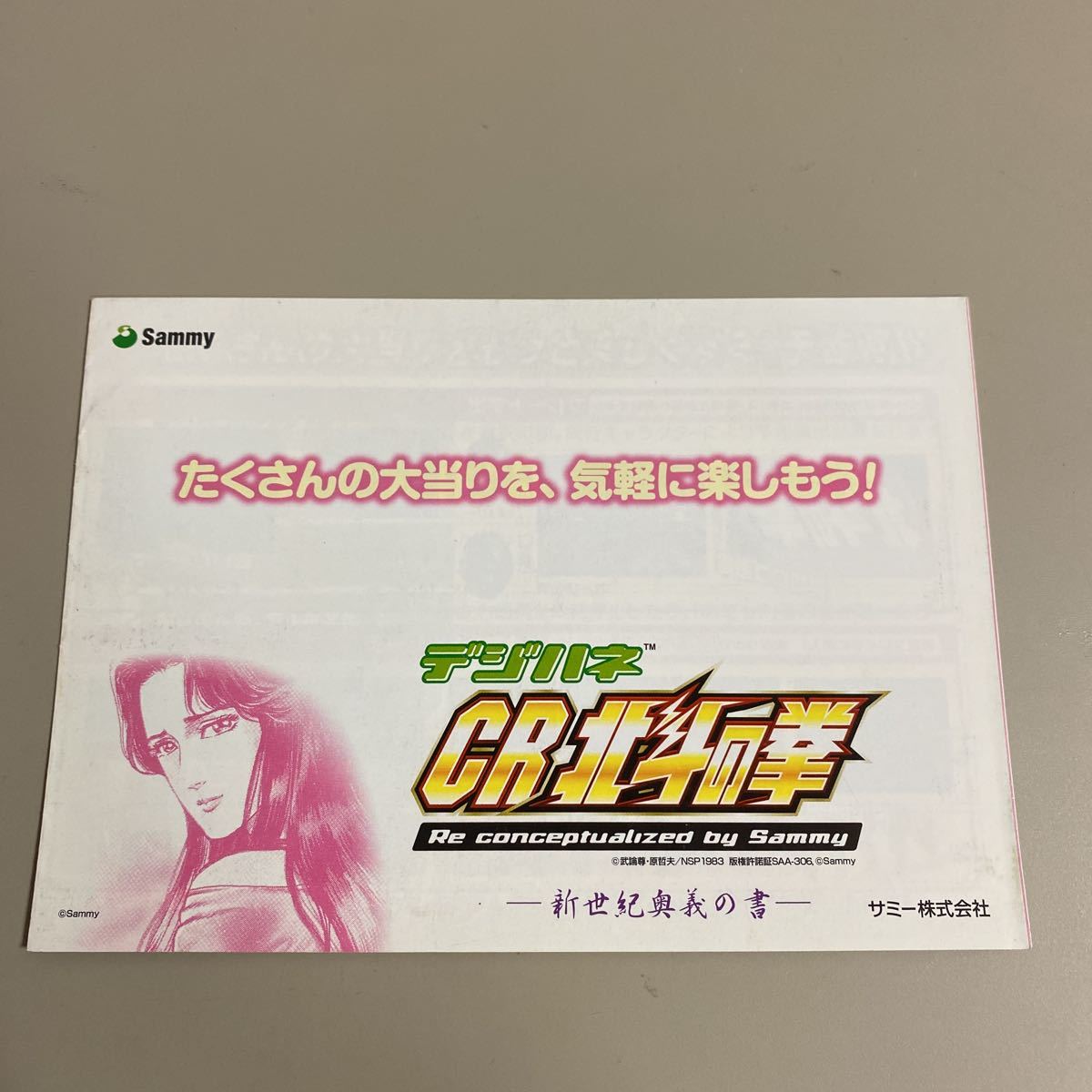 パチンコ小冊子 デジハネ 北斗の拳拍卖