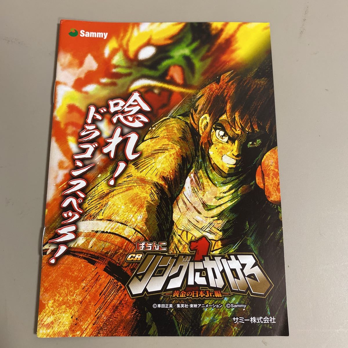 パチンコ小冊子 リングにかけろ拍卖