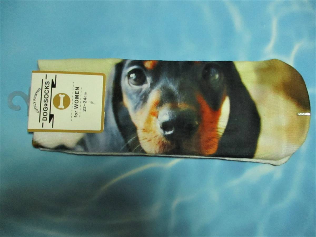 即決【 いぬ 靴下 22~24㎝ 】イヌ 犬 ソックス くつ下拍卖