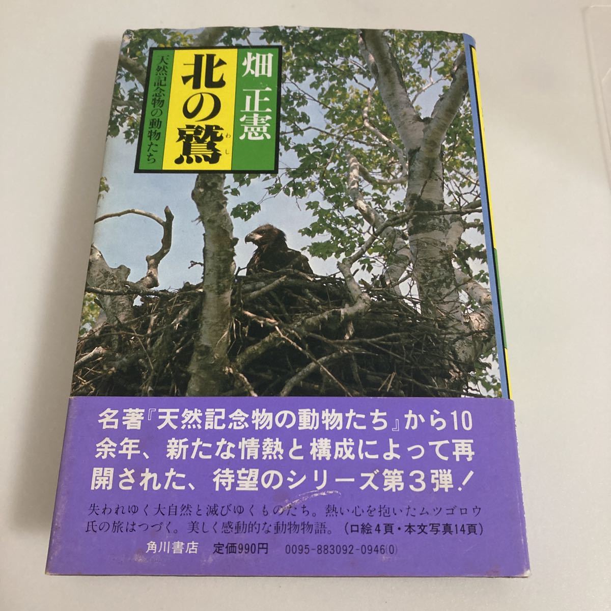 ◇ 北の鷲 天然記念物の動物たち 畑正憲 角川書店 初版 帯付 ♪G2拍卖
