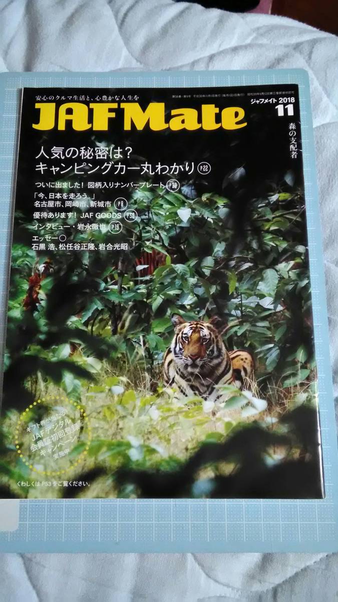 JAF MATE ジャフメイト 2018年11月号 岩永徹也 インタビュー 冊子拍卖