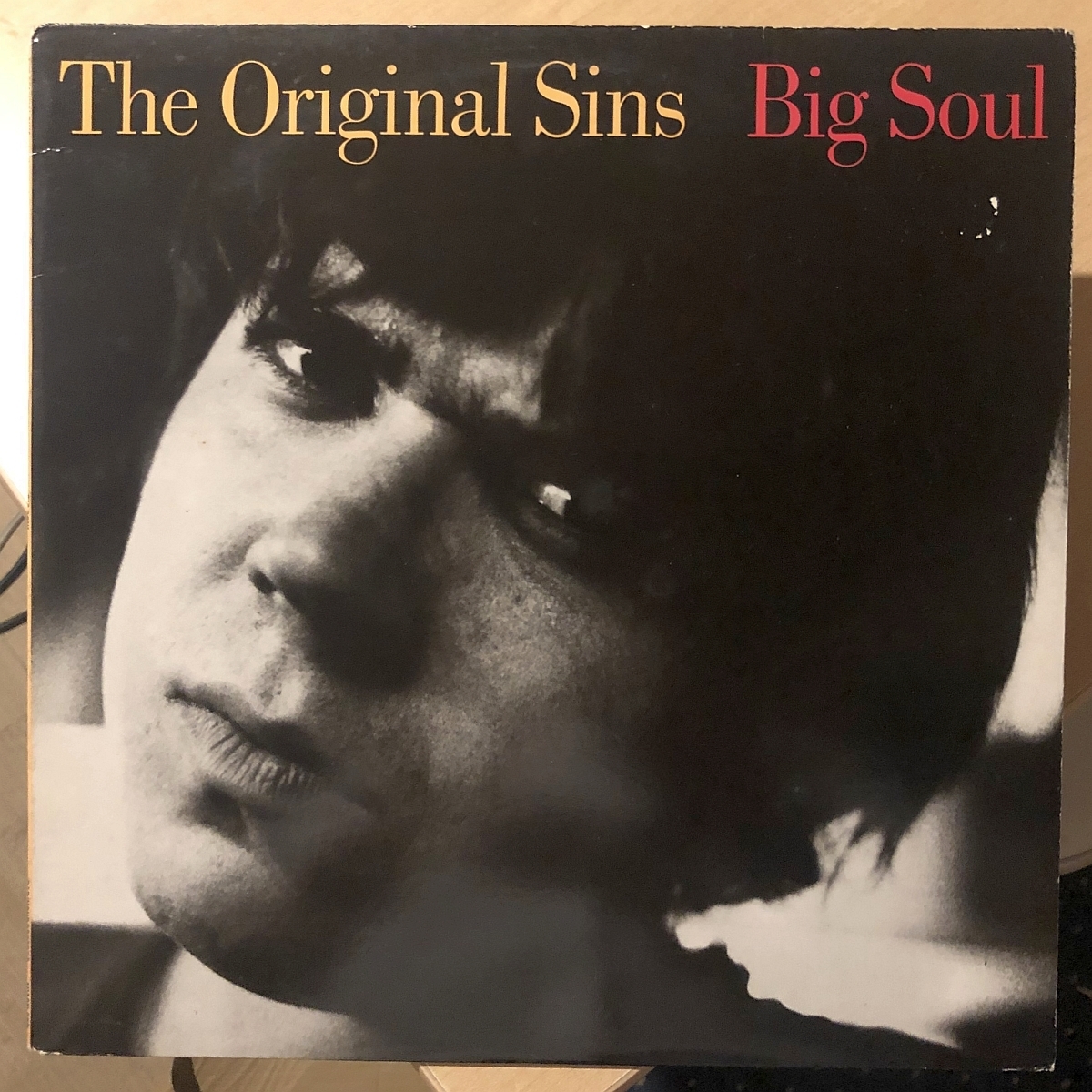 The Original Sins/Big Soul 【中古LPレコード】 オリジナル・シンズ US盤 AHAON-003 ガレージ パンク拍卖