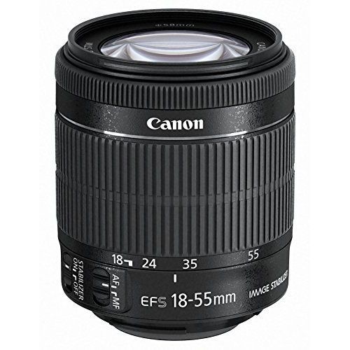 中古 1年保証 美品 Canon EF-S 18-55mm F3.5-5.6 IS STM拍卖