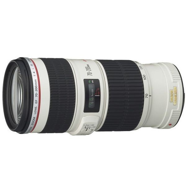 中古 1年保証 美品 Canon EF 70-200mm F4L IS USM拍卖