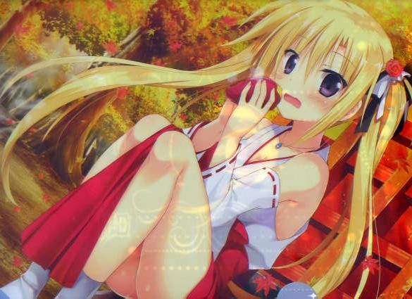 星恋*ティンクル/きゃべつそふと メロンブックス限定クリアファイル拍卖