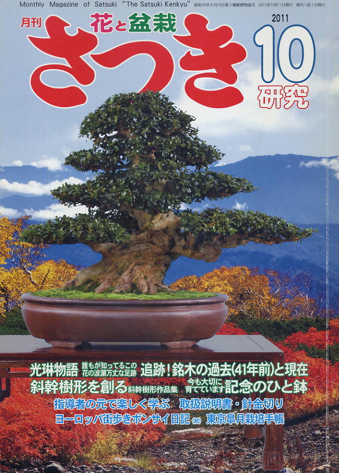 【花と盆栽 さつき研究】2011.10 ★ 光琳物語 追跡!銘木の過去と現在 斜幹樹形を創る拍卖