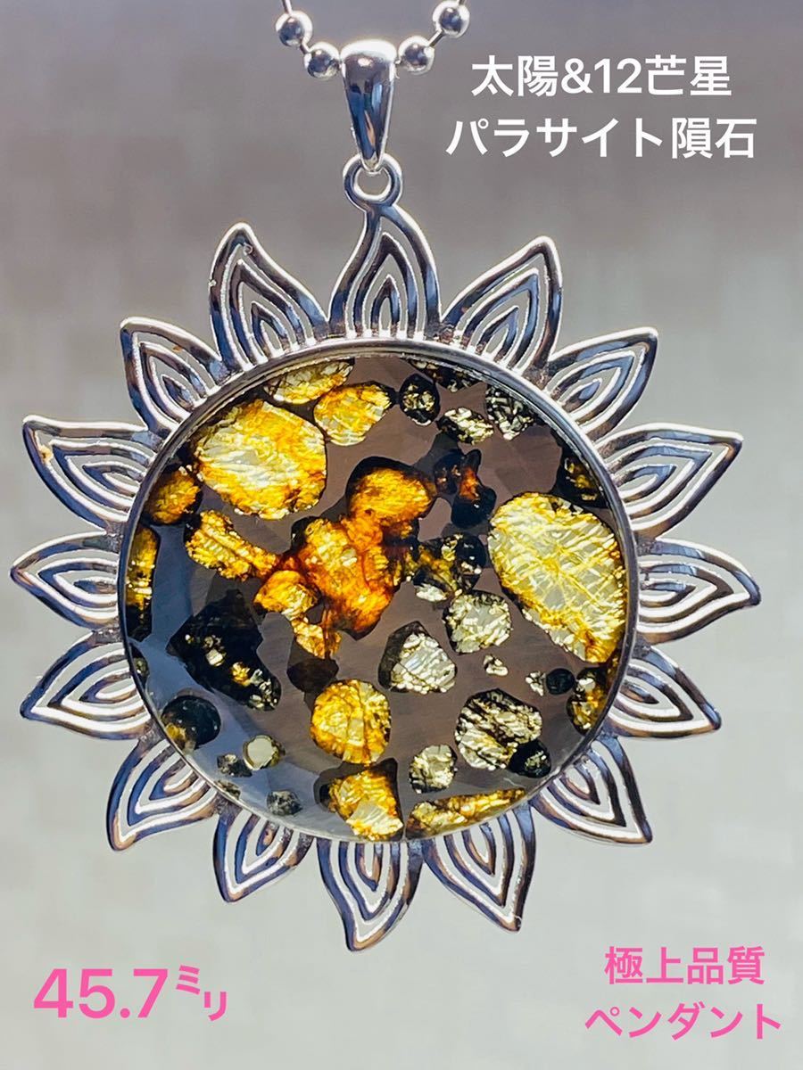 ★太陽&12芒星 パラサイト隕石 ネックレス 極上品質 パラサイト 隕石 セリコ隕石 石鉄隕石 45.7㍉ 石鉄隕石 ネックレス拍卖