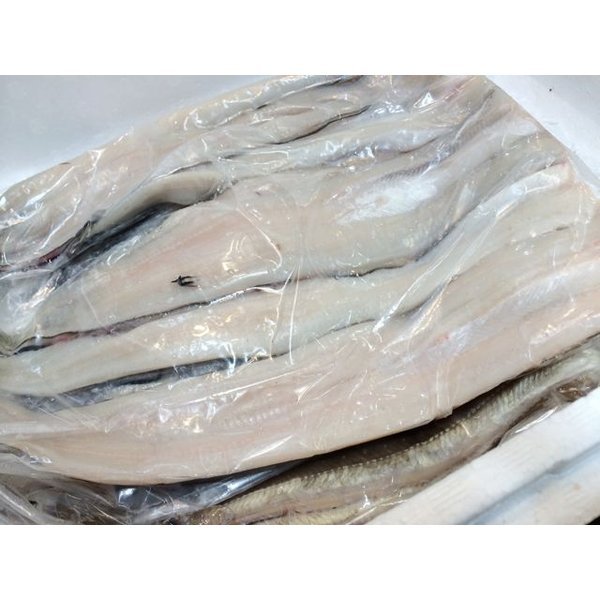 活〆穴子 開き 江戸前 大 10尾前後入 41/45 1kg拍卖