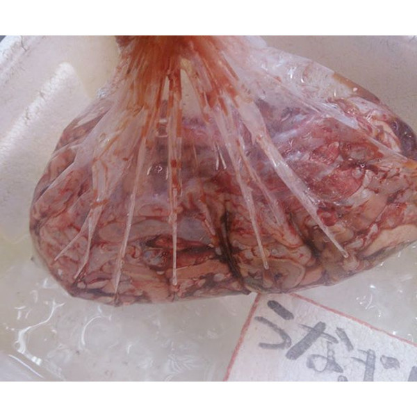 業務用 うなぎ 鰻 生肝 約3kg拍卖