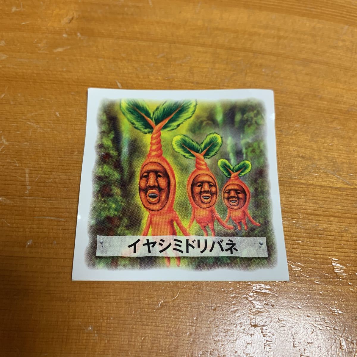 こびとづかん シール イヤシミドリバネ 2012 レア 希少 非売品 未使用品 送料無料拍卖