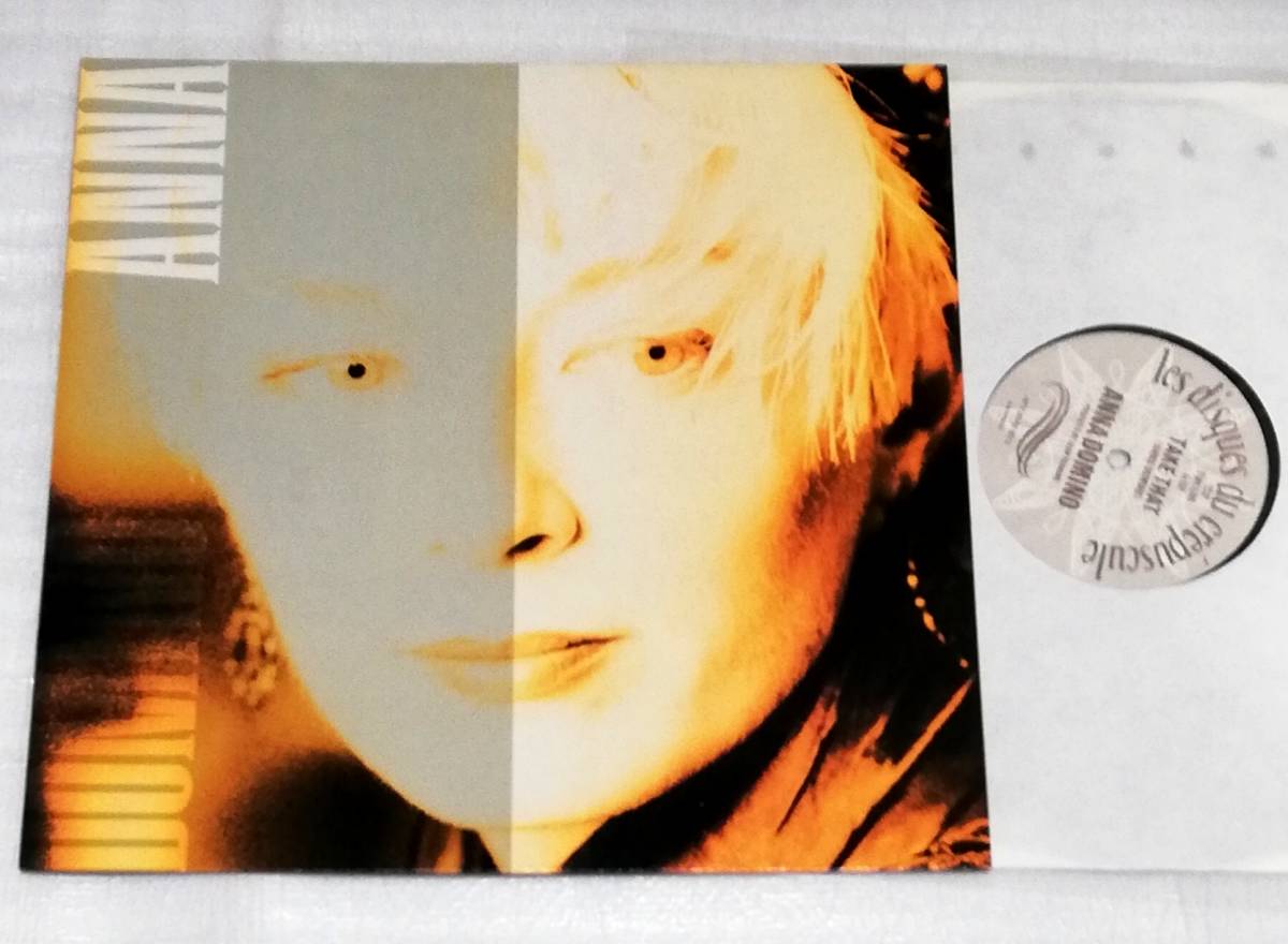 12 ANNA DOMINO TAKE THAT/ベネルクス盤拍卖