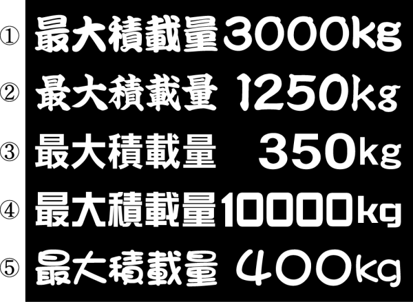 最大積載量 1250kg  30センチ  2枚組拍卖