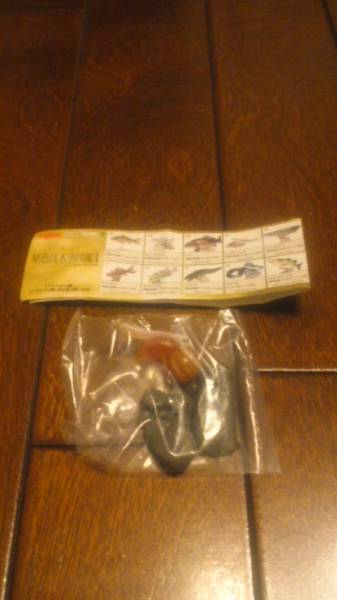 原色淡水魚図鑑Ⅱ サケ稚魚(シークレット・単色台座)拍卖