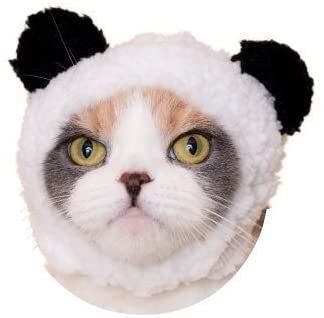 ねこのかぶりもの 第14弾 かわいいかわいい ねこくまちゃん 4種セット拍卖